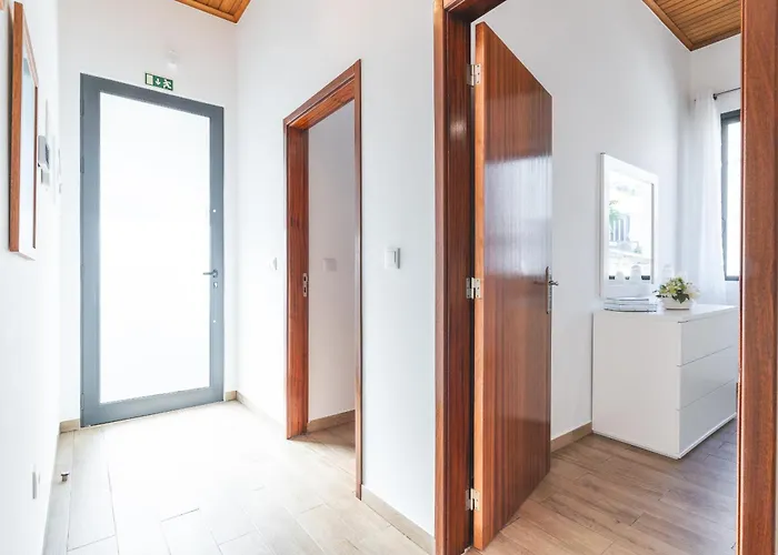 Magnolia By Atlantic *